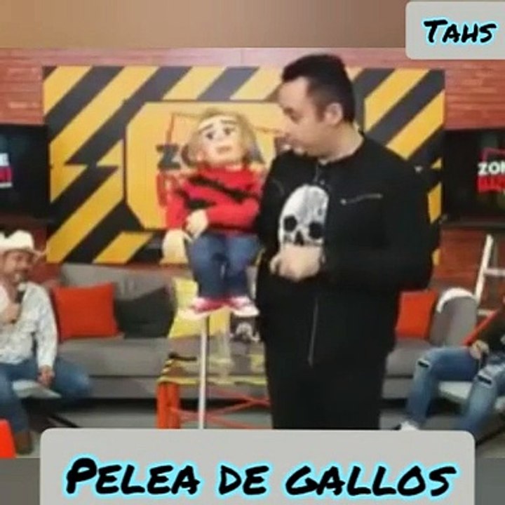 Los dos gallitos chiste