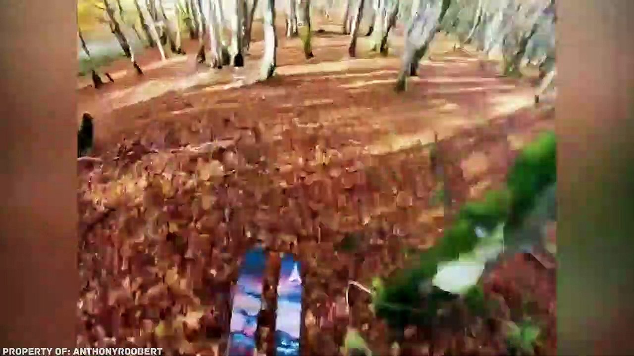Si No Hubiera Sido Grabado por una Cámara, Nadie lo Creería