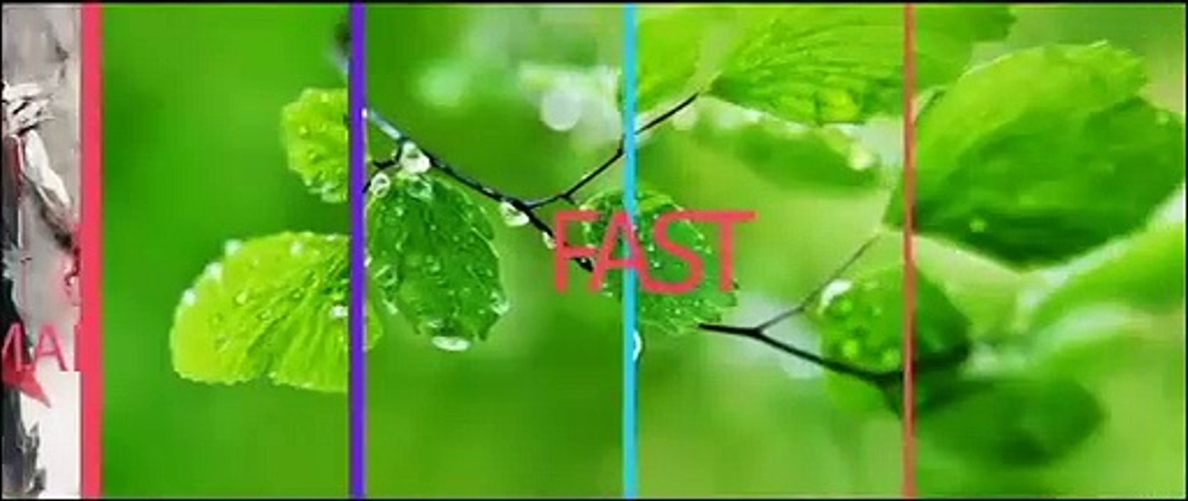 Adobe After Effects Template  Elastic Opener Typography