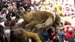 Hershey Bears Vs Hartford Wolf Pack TEDDY BEARS