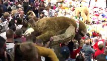 Hershey Bears Vs Hartford Wolf Pack TEDDY BEARS