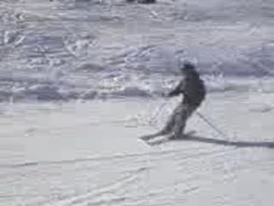 slide ski freestyle (courbé)