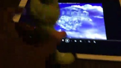 Frog Watches Warner Home Video Boring Shield