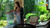 Deewar e Shab Episode 25 HUM TV Drama 30 November 2019