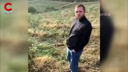 Zeytin ağaçlarını katlettiler!