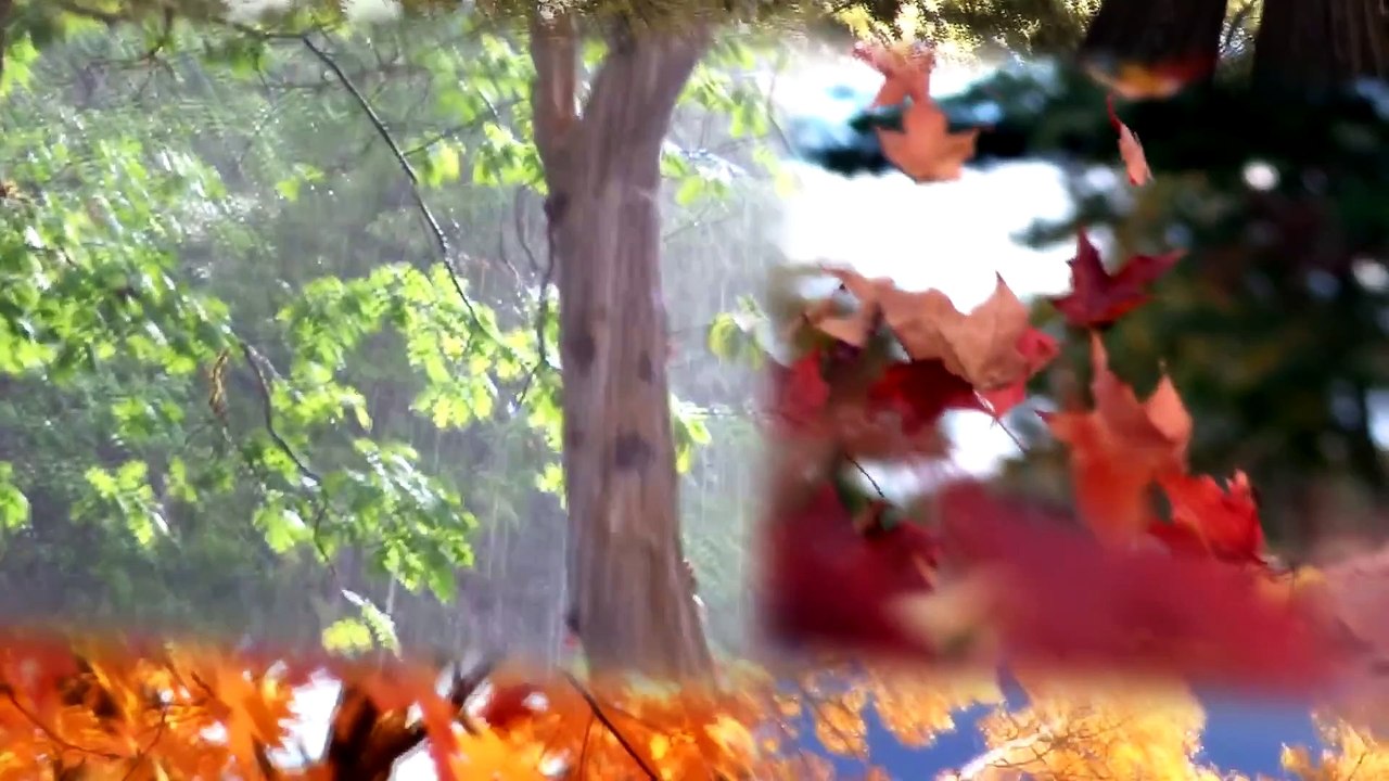 Nokian WRG3 _ Ultimate Year Round Performance