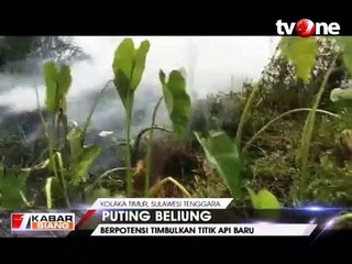 Angin Puting Beliung Terjang Lokasi Kebakaran Lahan Kolaka