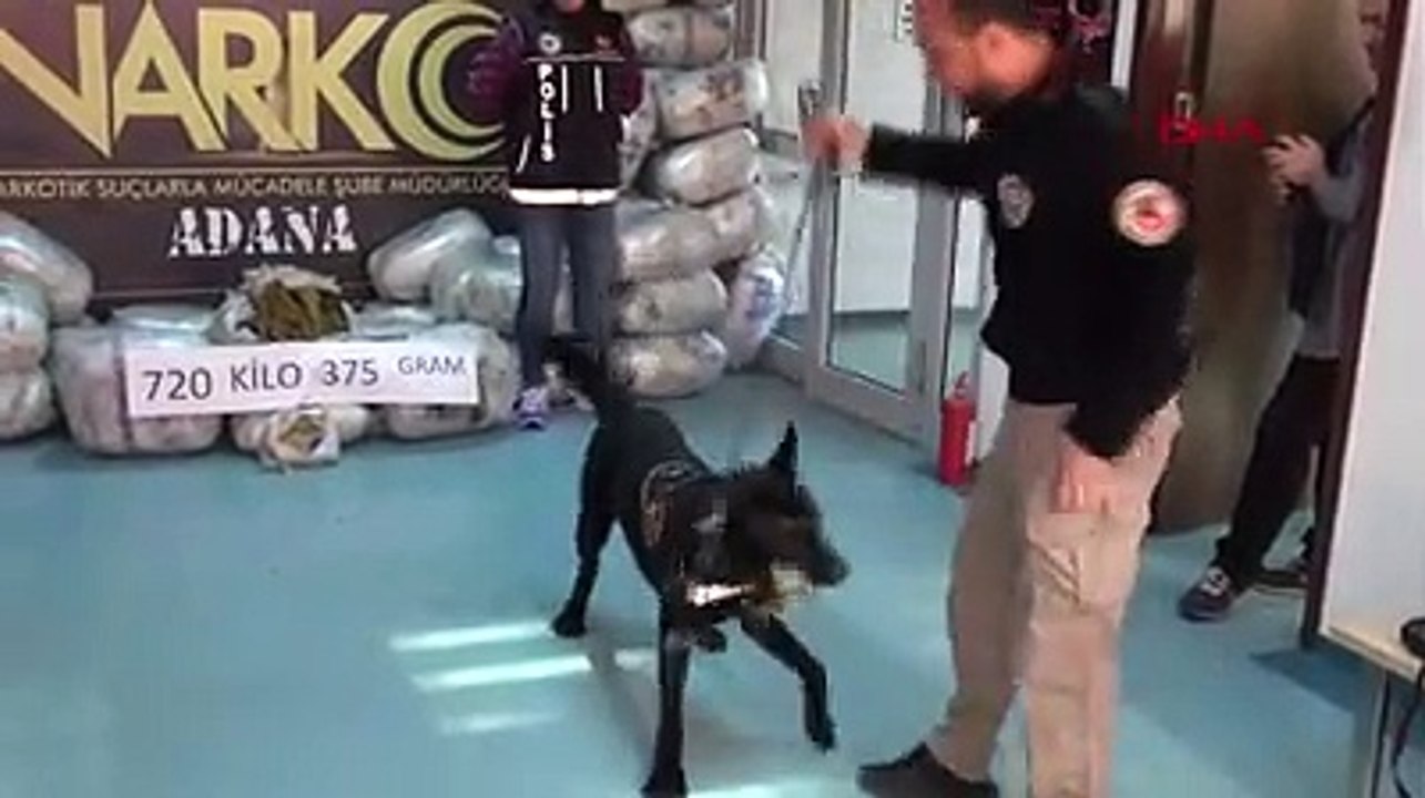Mobilya yüklü TIR'da 721 kilo 600 gram esrar ele geçirildi