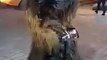 Ce chien adore ce déguisement de Wookie ! Il pense que c'est un chien géant !