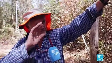 Australia activists argue bushfires are linked to climate change