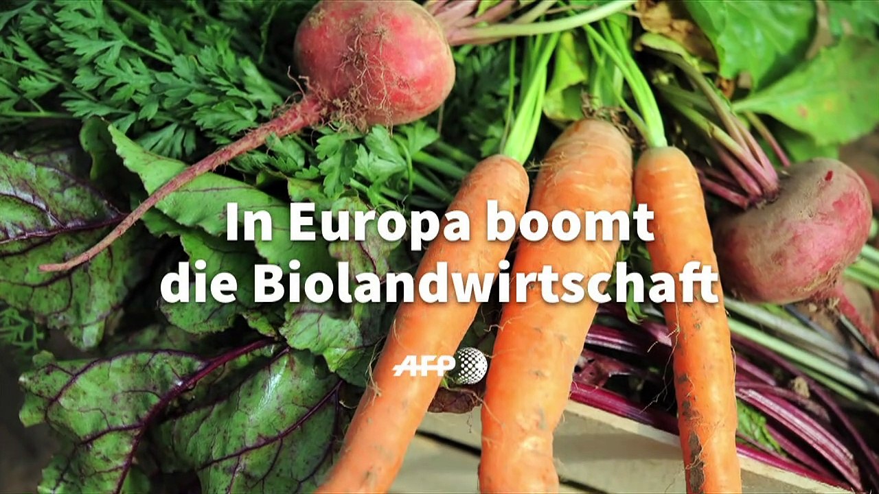 Videografik: Biolandwirtschaft in Europa boomt