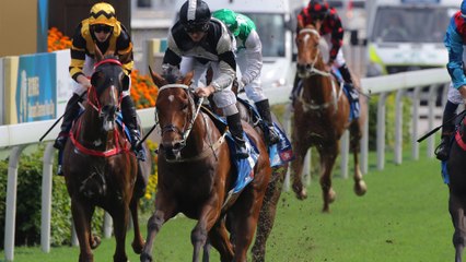 Everything there is to know about the 2019 Hong Kong International Races