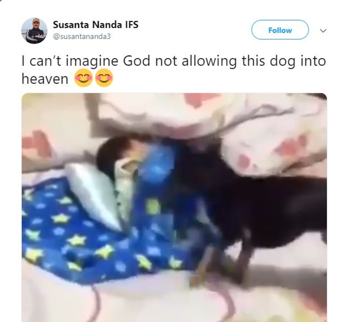 ⁣pet dog caring chid: viral video | Oneindia Malayalam