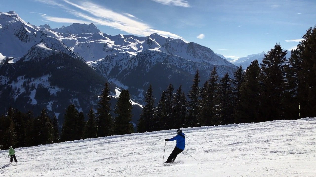 Ski