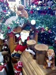 RAPHAELL, FERNANDA, THÁBATTA E OSMILTON NO SHOPPING BOA VISTA 30_11_2019