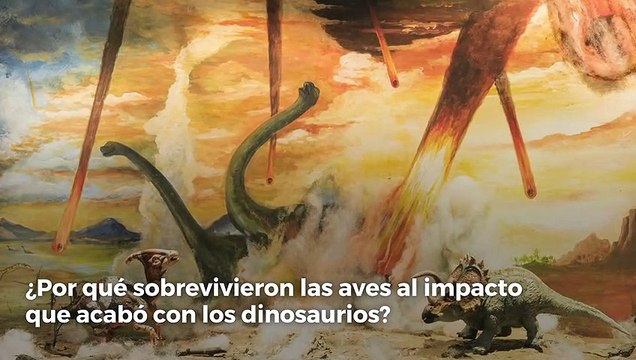 ¿Por qué sobrevivieron las aves al impacto que acabó con los dinosaurios?