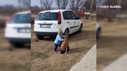 Miraç bebeğin köpeğini korumak için 'dişli' mücadelesi