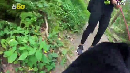 This Adorable Pup Invites Us To See Things From Her Point Of View