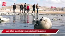 Van Gölü sahilinde insan kafatası ve kemikleri bulundu