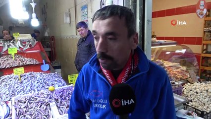 Karadeniz hamsisi 7 liraya düştü