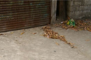 Recién nacida fue abandonada al norte de Guayaquil