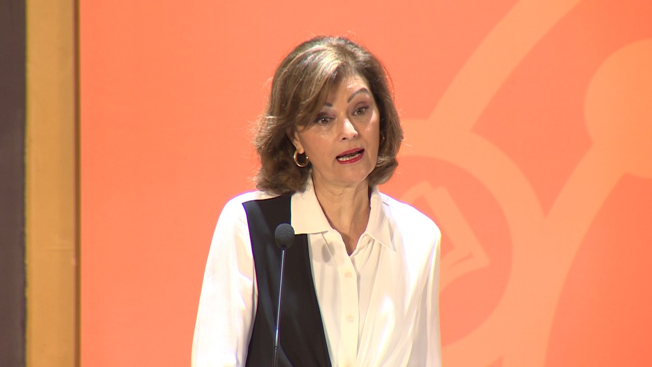 Botella ve "inconstitucional" negar la violencia machista