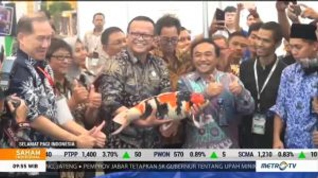Pemerintah Dorong Ekspor Ikan Hias Indonesia