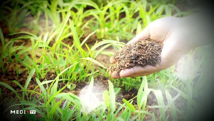 يوميات الفلاح - 02/12/2019