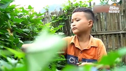 माता-पिता की मौत के बाद दादी ने भी साथ छोड़ा, अब खुद खेती कर पेट पालता है 10 साल का बच्चा