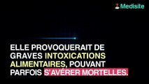 Listériose : rappel de mortadelle bio en raison d'un risque d'intoxication