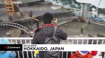 Ιαπωνία: Ένα «spa» αποκλειστικά για πιθήκους!