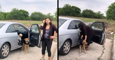 Texas : une femme a été filmée en train d’abandonner ses chiens dans un terrain vague avant de s'enfuir en voiture
