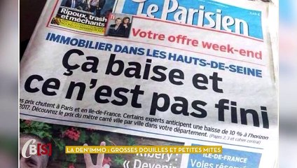 La Den'immo : Grosses douilles et petites mites