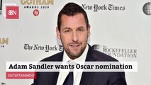 Adam Sandler Thinks It's Time For An Oscar