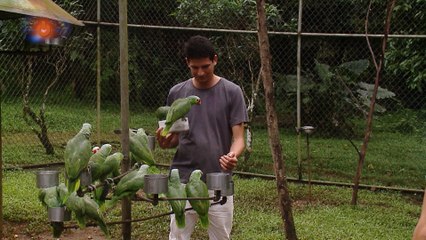 tn7-500 animales a salvo gracias a familia Sancarleña-061219