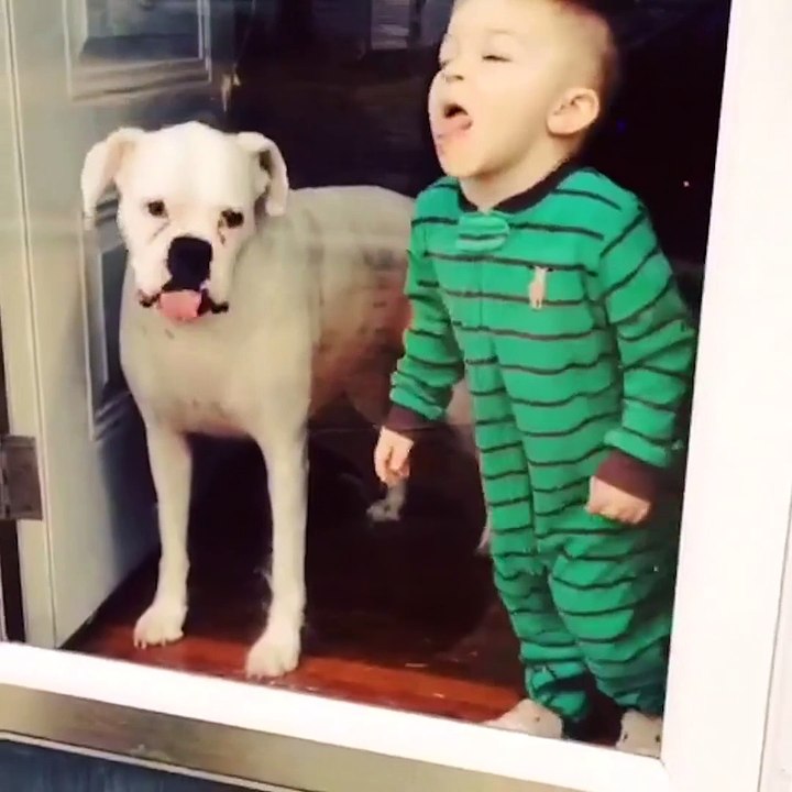Delicious Windows