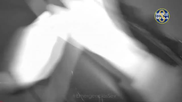 Un policía sevillano persigue hasta dar caza a dos menores que tiraban piedras a vehículos en una autovía