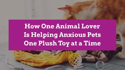 How One Animal Lover Is Helping Anxious Pets One Plush Toy at a Time