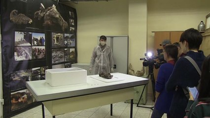 Hallan cachorro congelado de hace unos 18.000 años