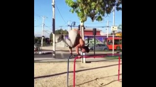 TOP Street Workout FAILS