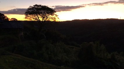 Japanese beautiful view