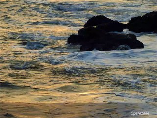 Chausson: Poème de l'amour et de la mer by François Le Roux