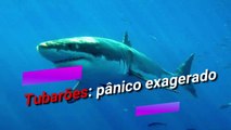 Tubarões - panico exagerado