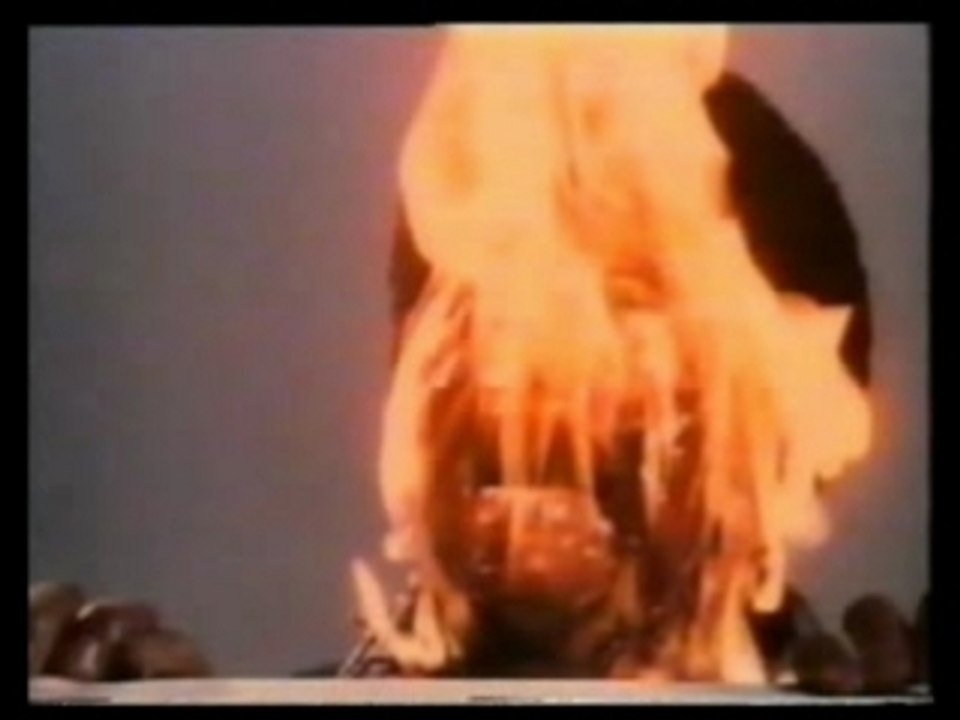 Damenwahl bilder video