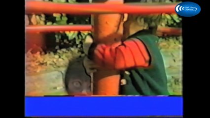 Scary Videos You Should Not Watch Alone[ File.5 ]