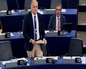 Esteban Gonzalez Pons: "El proyecto europeo no es irreversible"