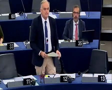 Esteban Gonzalez Pons: El proyecto europeo no es irreversible