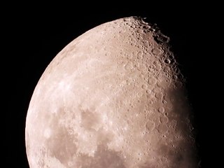 Pexels Videos 2706514