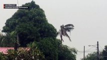 Typhoon Tisoy continues to bring strong winds in Las Piñas City