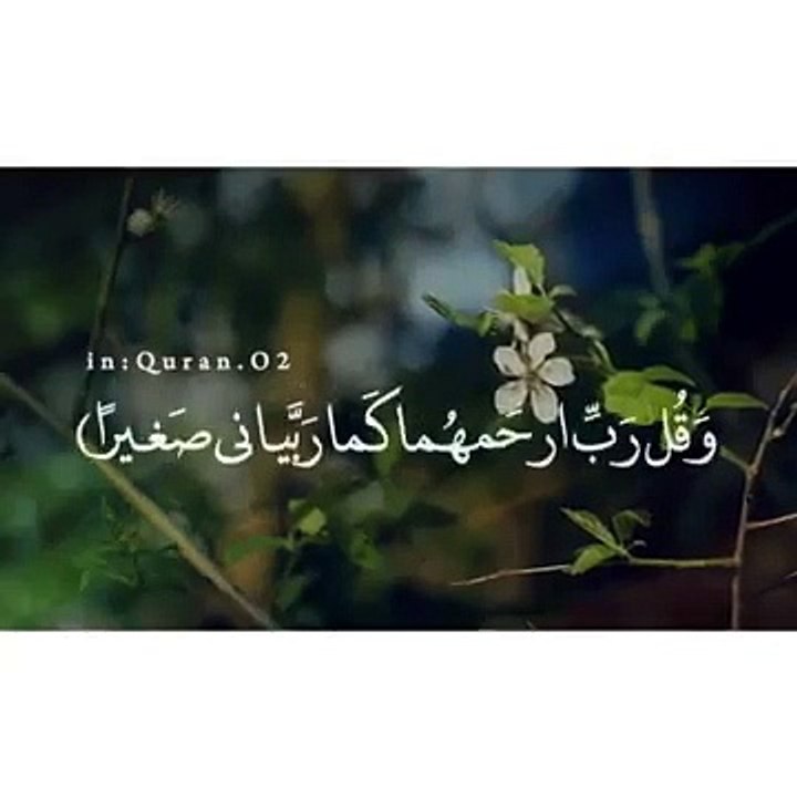 تلاوة صباحية __حالات واتس اب اسلامية دينية قرأن _